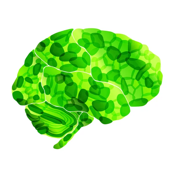 Cerebro orgánico humano, vector de fondo abstracto — Vector de stock