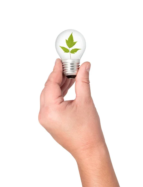 Light bulb in hand with leaves inside. — Stock Photo, Image