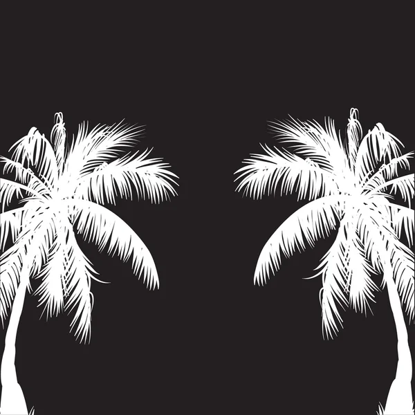 Two white palm trees.Vector illustration — Stock Vector