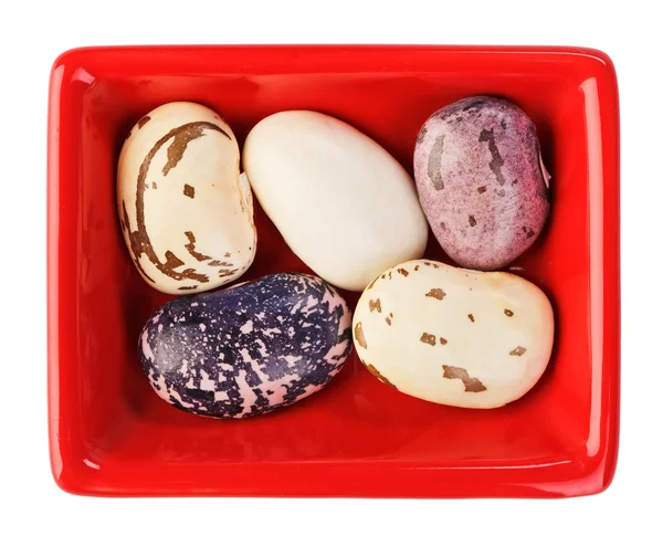 白で隔離される赤い正方形板インゲン豆 — ストック写真