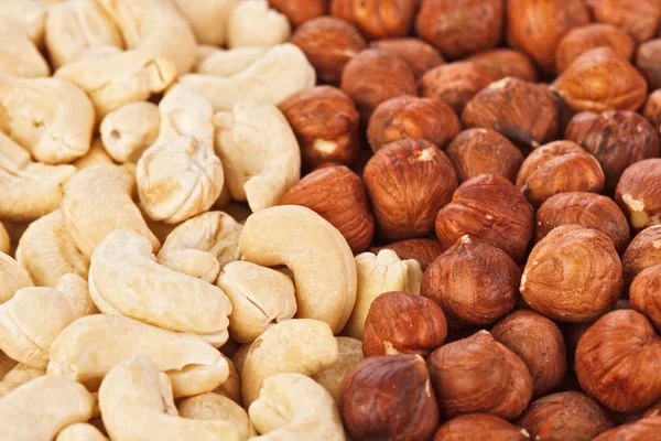 Hazel and cashew nuts food background — Stock Photo, Image