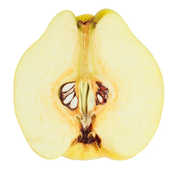Quince fruit cross-section closeup view — Stock Photo, Image