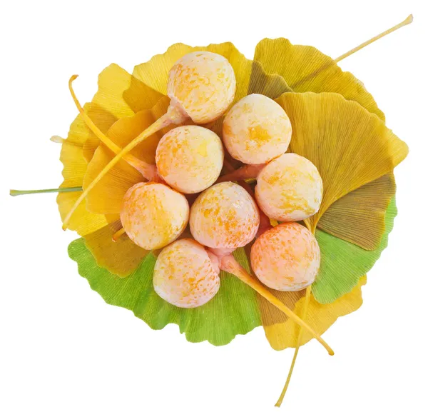 Ginkgo biloba Früchte häufen sich über Blätter isoliert auf weiß — Stockfoto