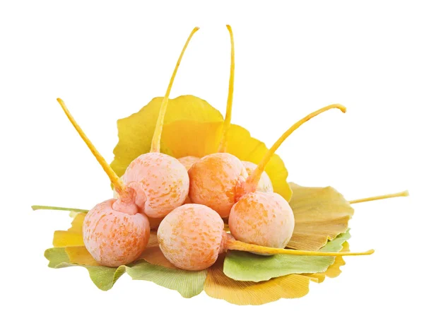 Ginkgo biloba meyve öbek üzerinde beyaz izole yaprakları üzerinde — Stok fotoğraf