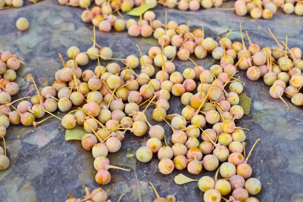 Ginkgo biloba vruchten heap liegen over bladeren, buiten schot — Stockfoto