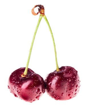 Pair of red ripe cherry fruit with water drops on green stem iso clipart