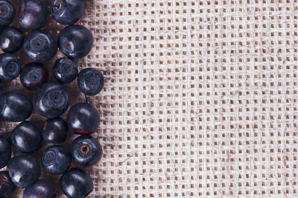 Many bilberry fruits, on gray linen table cloth with copy space — Stockfoto