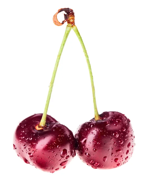 Para czerwony dojrzałe owoce wiśni z wody spadnie na iso zielony łodyga — Zdjęcie stockowe