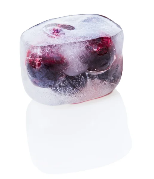 Blåbär (lingon) i smältande is kub, isolerade — Stockfoto