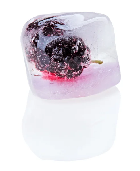 En svart mullbär frukt i smältande is kub, isolerad på — Stockfoto