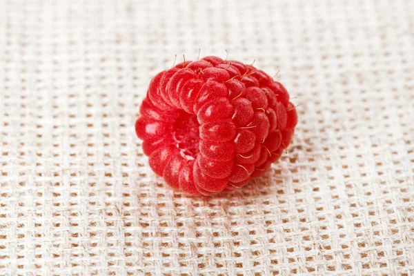 Een rode rijpe frambozen vruchten, op grijze linnen tabel doek, macro — Stockfoto