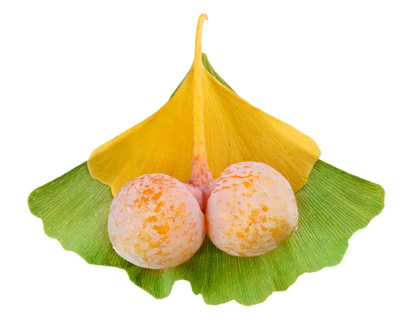 Ginkgo biloba Früchte Zweig über Blätter isoliert auf weiß, Makro — Stockfoto