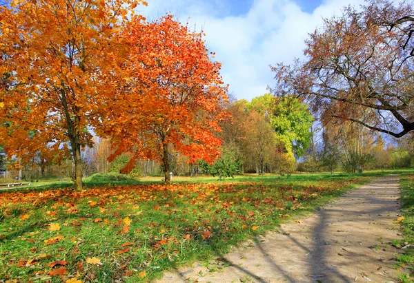 Herbst im Park in vitebsk — Stockfoto