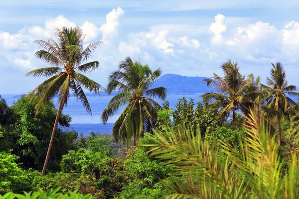 Bela paisagem tropical — Fotografia de Stock