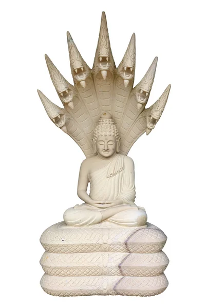 흰색 바탕에 buddha의 동상 — 스톡 사진
