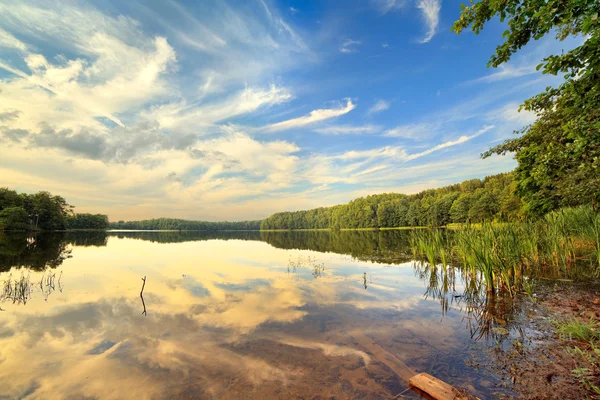 Lago di legno in giorno d'estate — Foto Stock