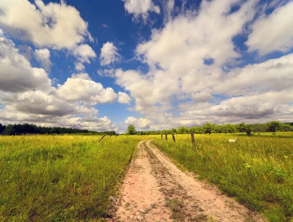 Route rurale vers le jour d'été, Belarus — Photo