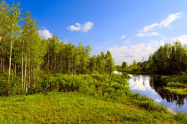 The wood river in a summer sunny day clipart