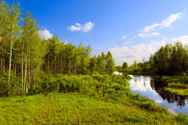 Rzeki drewna w słoneczny dzień lata — Zdjęcie stockowe