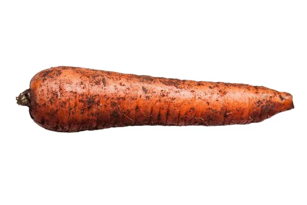 胡萝卜蔬菜 — 图库照片