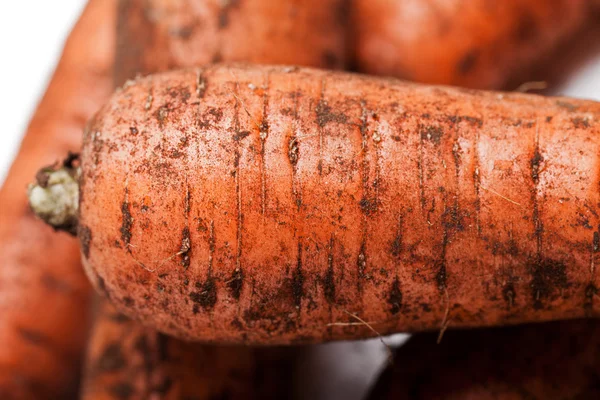 Karottengemüsehaufen — Stockfoto