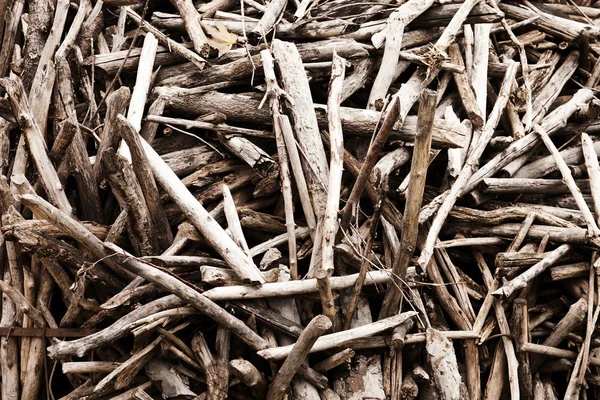 Wood log pile — Stock Photo, Image