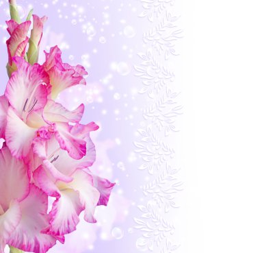 Gladiolus clipart