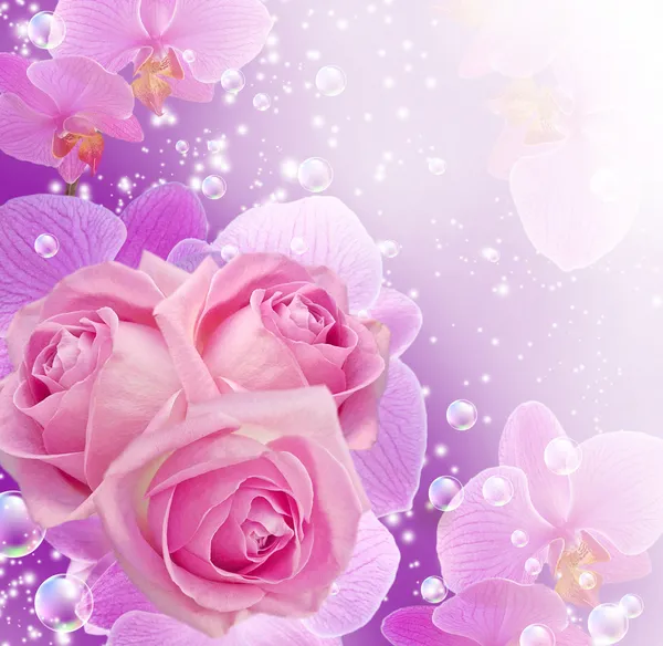 Orquídea, rosas e bolhas — Fotografia de Stock