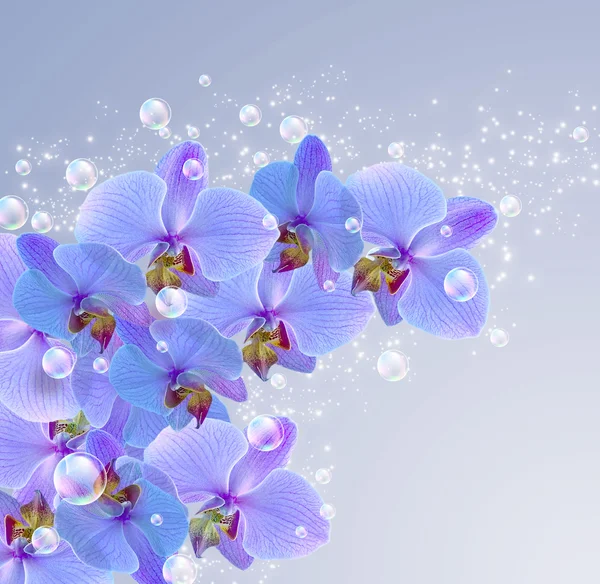 Orchidea és a buborékok — Stock Fotó