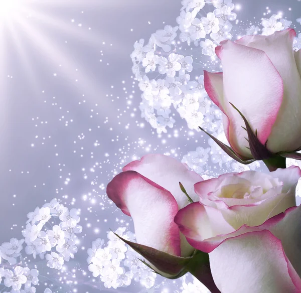 Růže a bílé květy — Stock fotografie