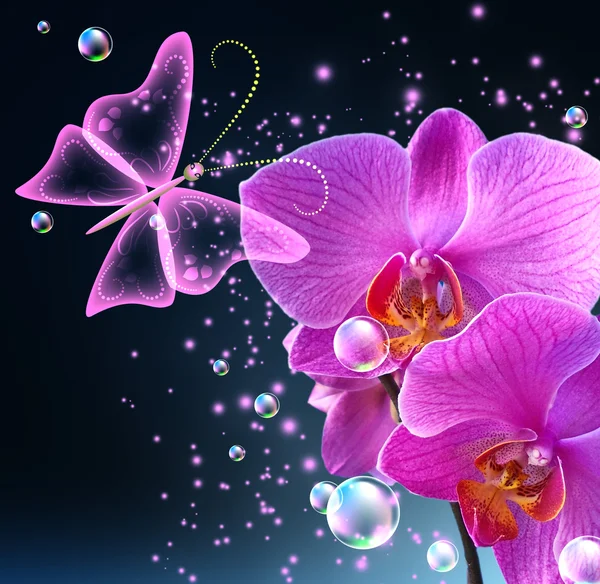 Orchidea és a pillangó — Stock Fotó