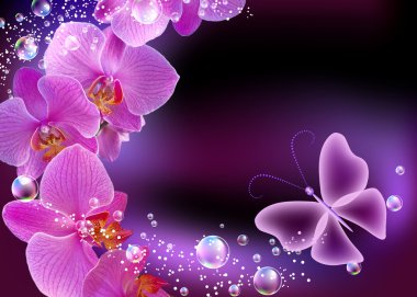 Orchid and butterfly clipart