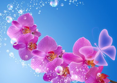 Orchid and butterfly clipart