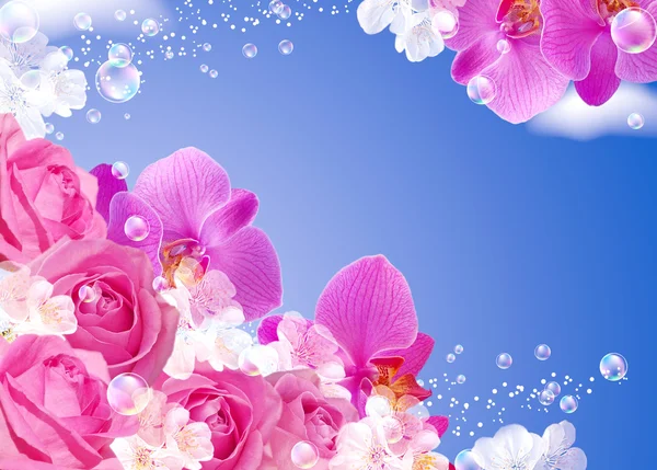 Rosor och orkidéer — Stockfoto