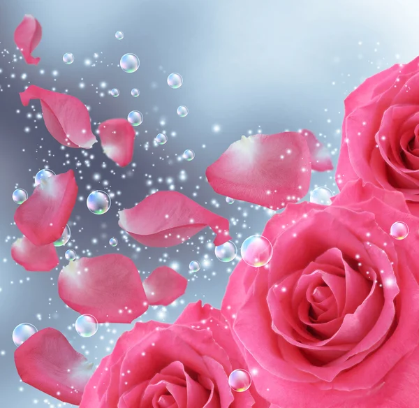 Roses and bubbles — Stock Photo, Image