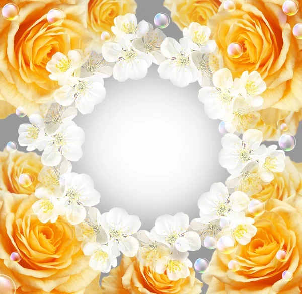 Rosor och vita blommor — Stockfoto