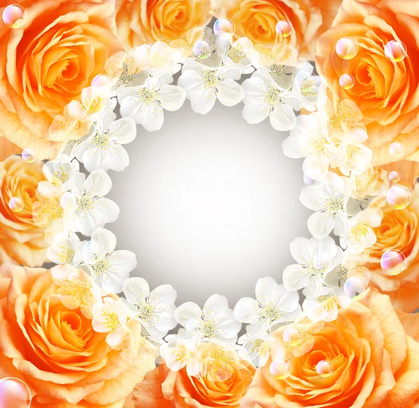 Розы и белые цветы — стоковое фото