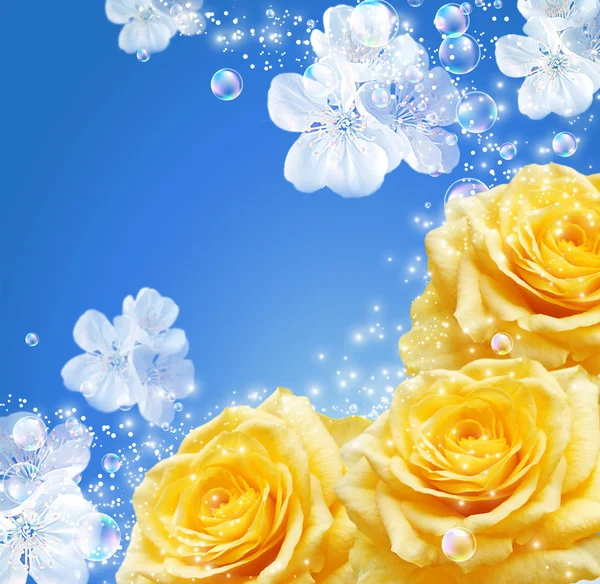 Rosas y flores blancas — Foto de Stock