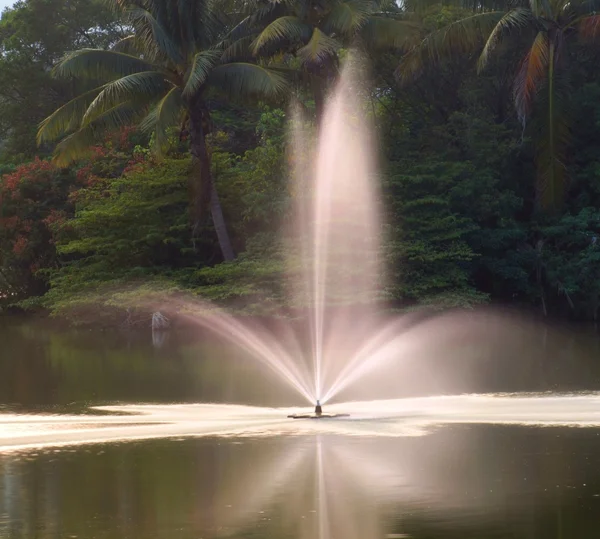 喷泉和棕榈树 — 图库照片