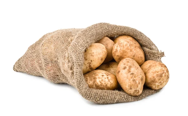 Πρώτες συγκομιδή πατάτες στο σάκο λινάτσα — Φωτογραφία Αρχείου