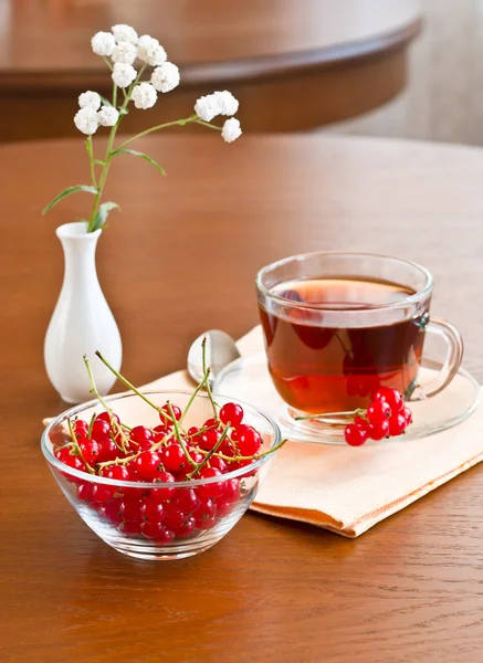 Summer tea — Stock Photo, Image