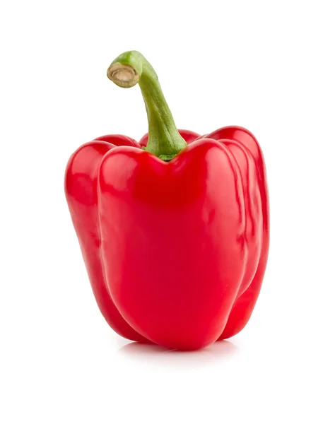 Ljust röd paprika — Stockfoto