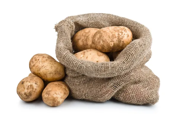 Rå skörd potatis i säckväv säck Stockbild
