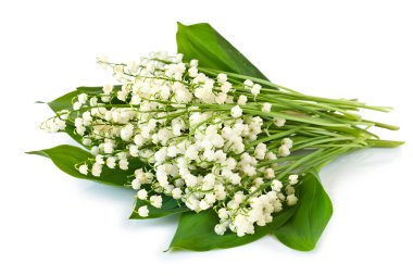 Bouquet of lilies of the valley clipart