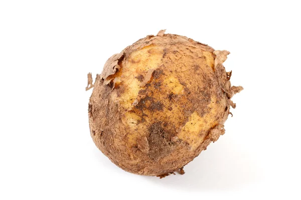 Potato. — Stock Photo, Image