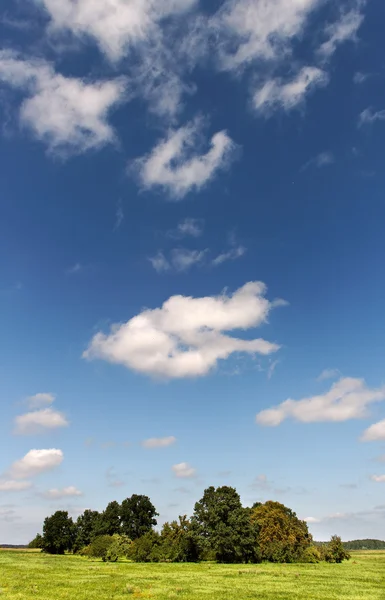 Nuvens. — Fotografia de Stock