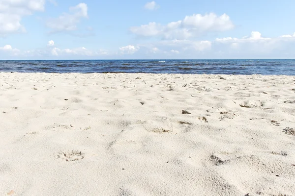 해변. — 스톡 사진