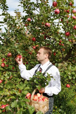 Man in garden. clipart