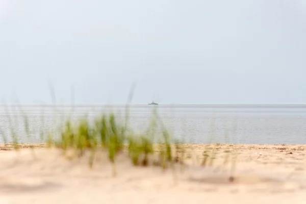 Γρασίδι και άμμο. — Φωτογραφία Αρχείου
