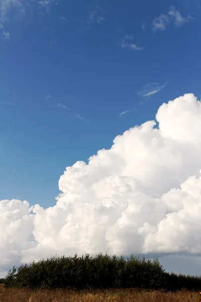 Nube. — Foto de Stock